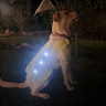 LED Hundewarnweste am Hund – Seitenansicht mit leuchtenden LEDs im Dunkeln